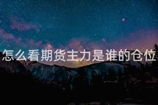 怎么看期货主力是谁的仓位