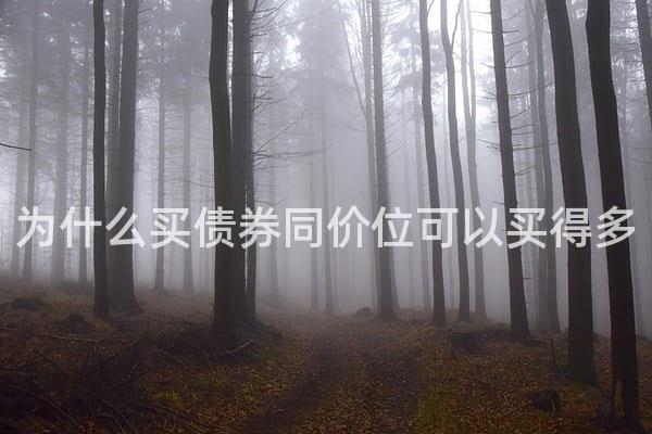 为什么买债券同价位可以买得多