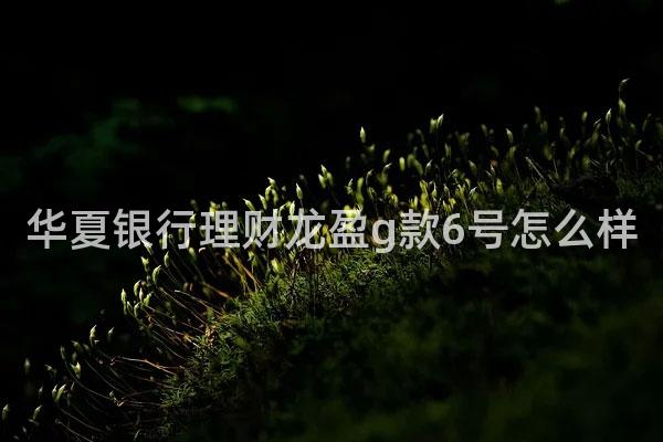华夏银行理财龙盈g款6号怎么样