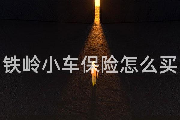 铁岭小车保险怎么买