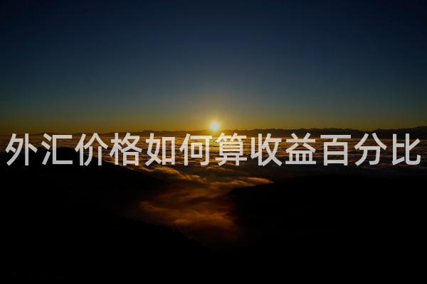 外汇价格如何算收益百分比