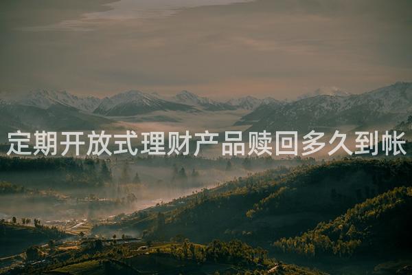 定期开放式理财产品赎回多久到帐