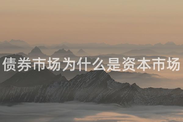 债券市场为什么是资本市场