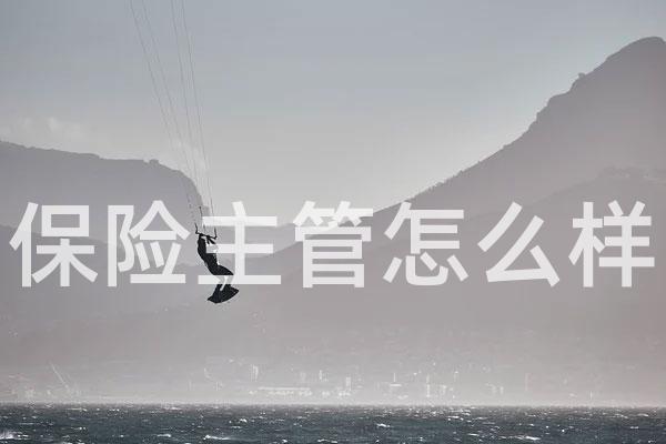 保险主管怎么样