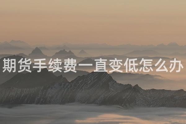 期货手续费一直变低怎么办