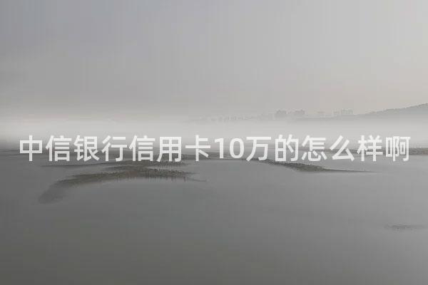 中信银行信用卡10万的怎么样啊