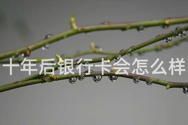 十年后银行卡会怎么样