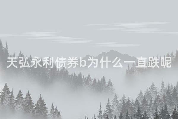 天弘永利债券b为什么一直跌呢