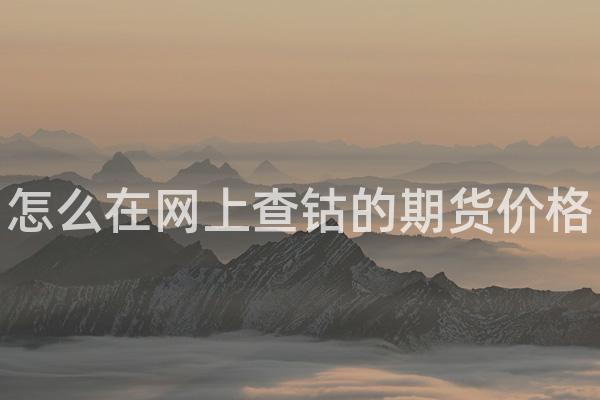 怎么在网上查钴的期货价格