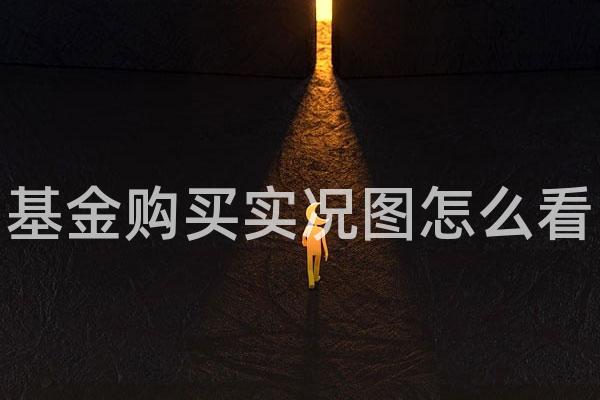 基金购买实况图怎么看