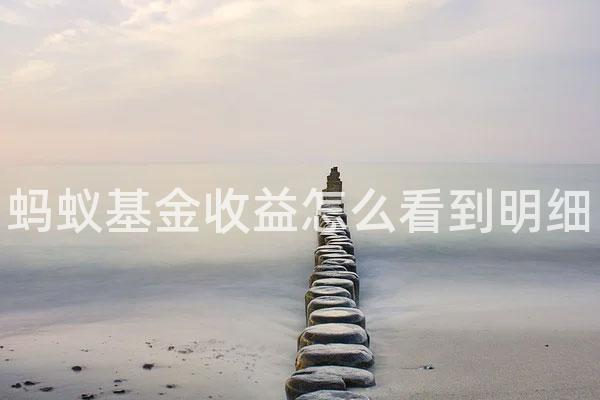 蚂蚁基金收益怎么看到明细