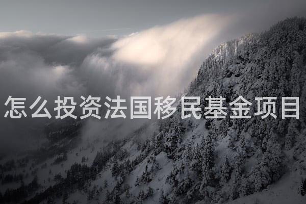 怎么投资法国移民基金项目