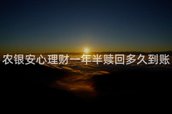 农银安心理财一年半赎回多久到账
