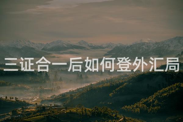 三证合一后如何登外汇局