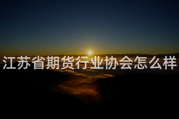江苏省期货行业协会怎么样