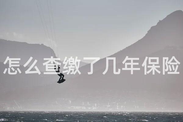 怎么查缴了几年保险