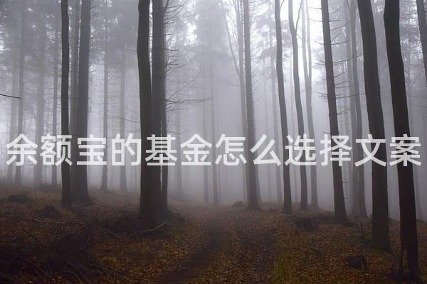 余额宝的基金怎么选择文案