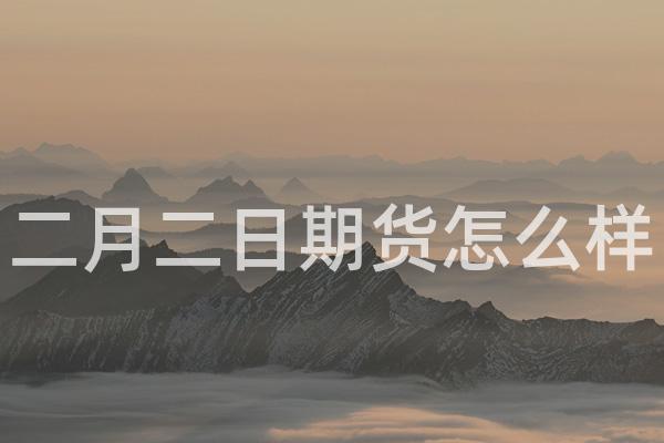 二月二日期货怎么样