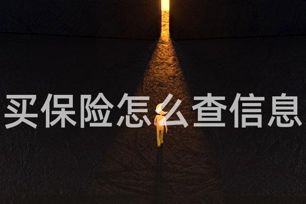 买保险怎么查信息
