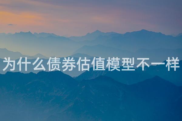 为什么债券估值模型不一样