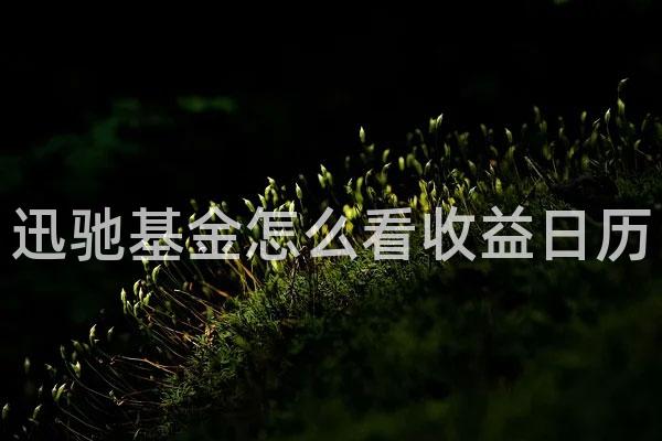 迅驰基金怎么看收益日历