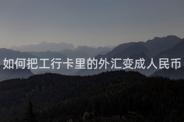 如何把工行卡里的外汇变成人民币
