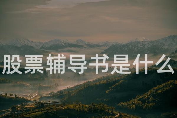 股票辅导书是什么