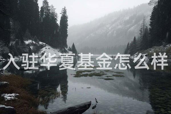 入驻华夏基金怎么样