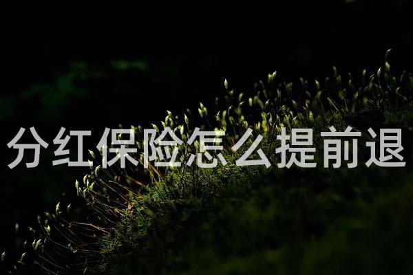 分红保险怎么提前退