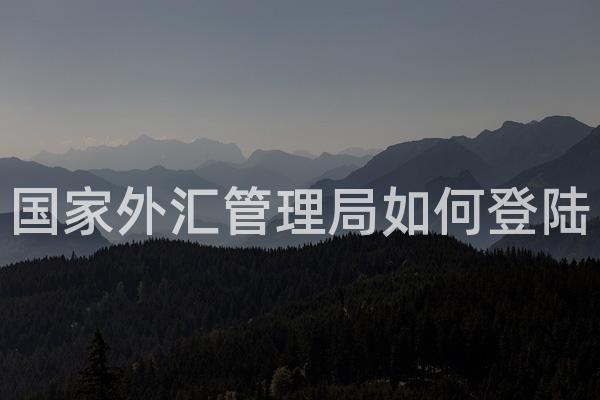 国家外汇管理局如何登陆