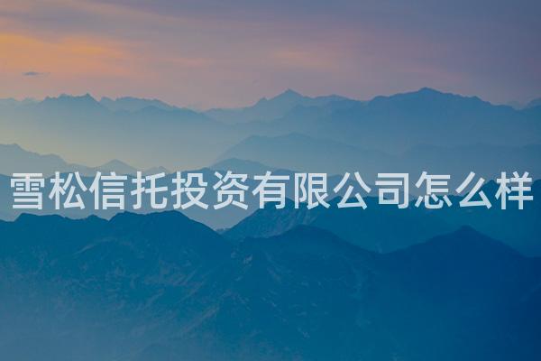 雪松信托投资有限公司怎么样
