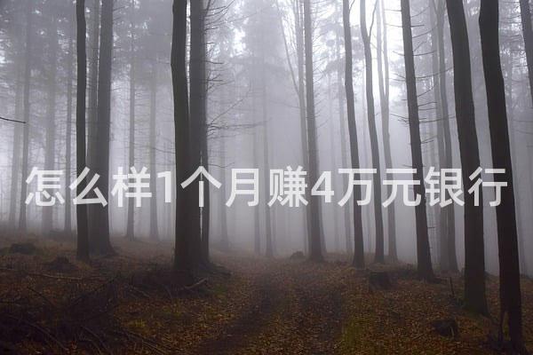 怎么样1个月赚4万元银行