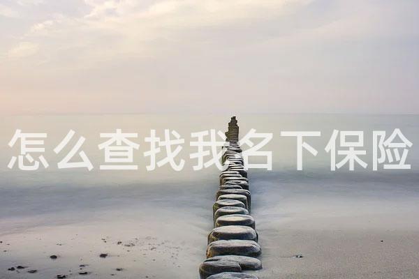 怎么查找我名下保险