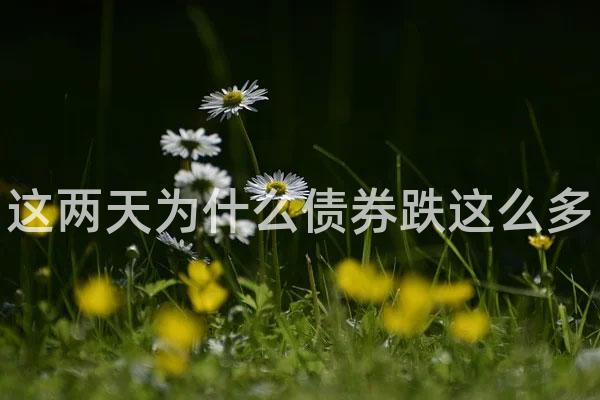 这两天为什么债券跌这么多