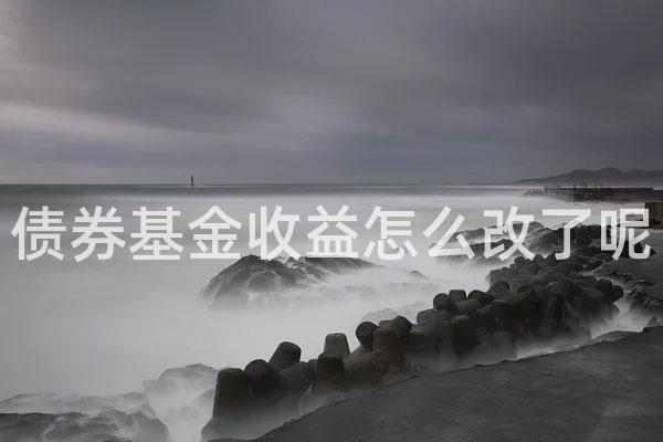 债券基金收益怎么改了呢