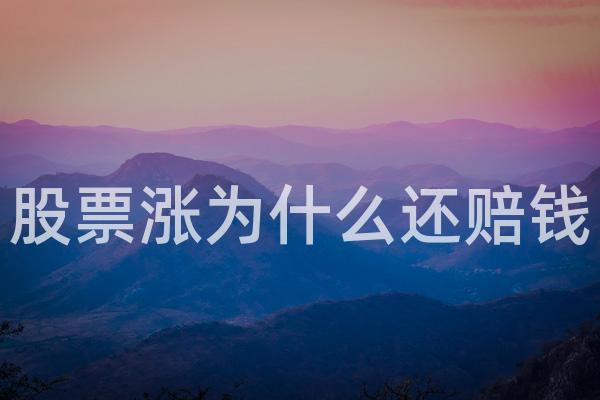 股票涨为什么还赔钱