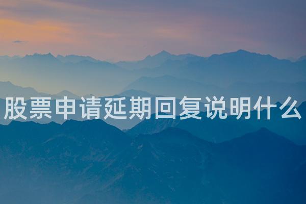 股票申请延期回复说明什么