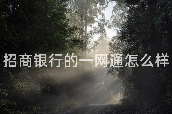 招商银行的一网通怎么样