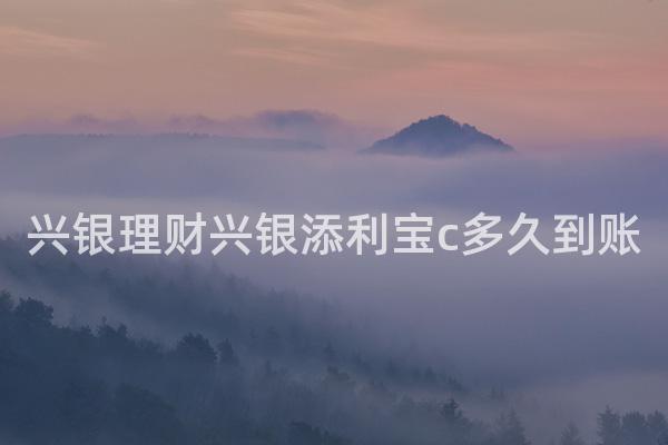 兴银理财兴银添利宝c多久到账