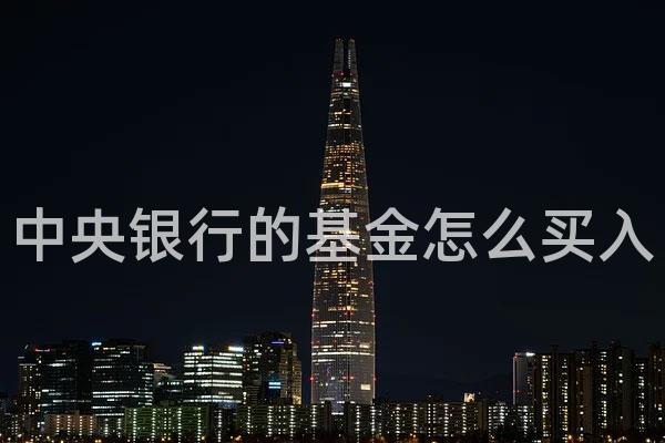 中央银行的基金怎么买入