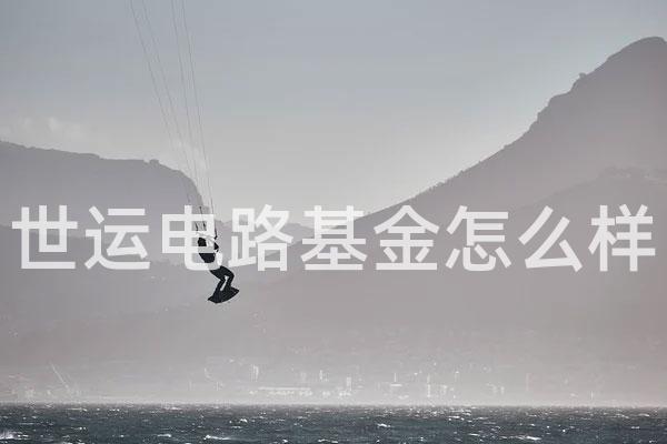 世运电路基金怎么样