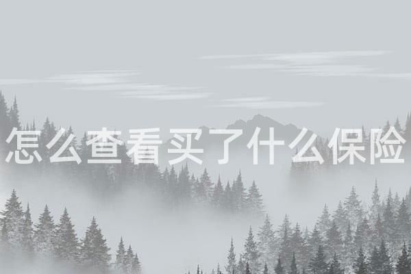 怎么查看买了什么保险