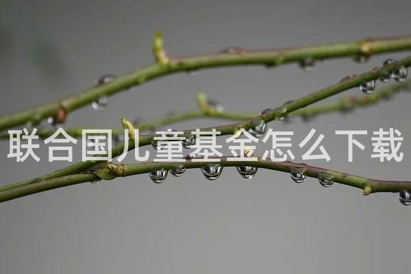 联合国儿童基金怎么下载
