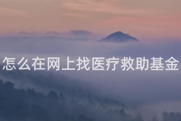 怎么在网上找医疗救助基金