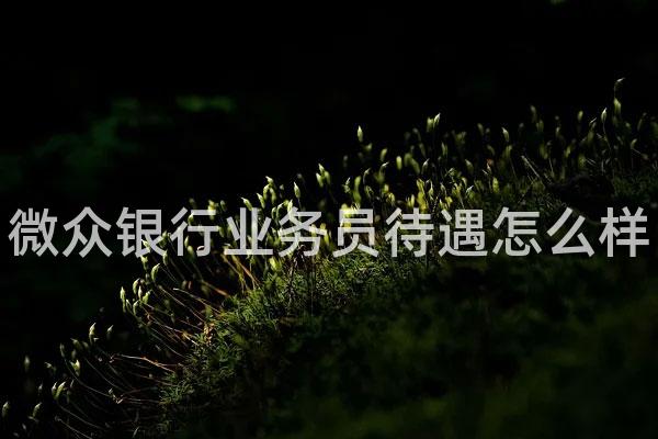 微众银行业务员待遇怎么样