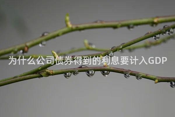 为什么公司债券得到的利息要计入GDP