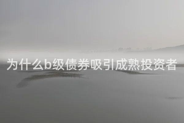 为什么b级债券吸引成熟投资者