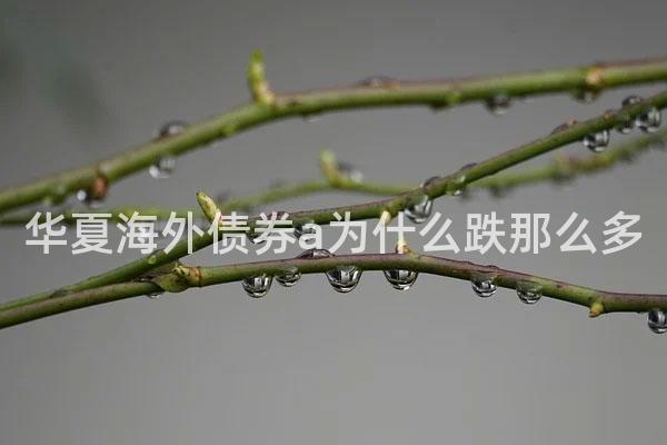 华夏海外债券a为什么跌那么多