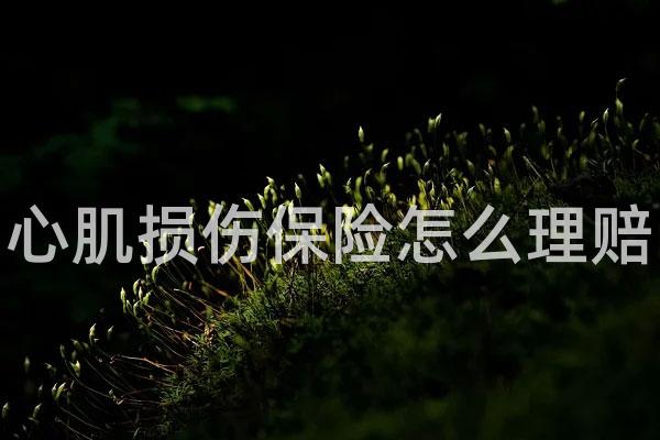 心肌损伤保险怎么理赔