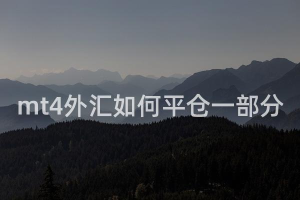 mt4外汇如何平仓一部分